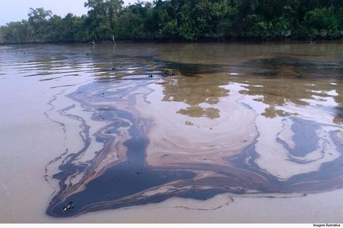 Homem é condenado por roubo e crime ambiental