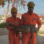 78619d15-6441-4fbf-a471-d52db9b1ce29