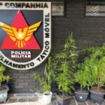 Imagem do WhatsApp de 2025-03-06 à(s) 16.06.23_c25f819a