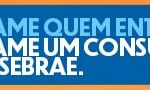 Consultor Sebrae