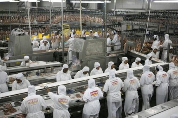 Investimentos em granjas na Zona da Mata