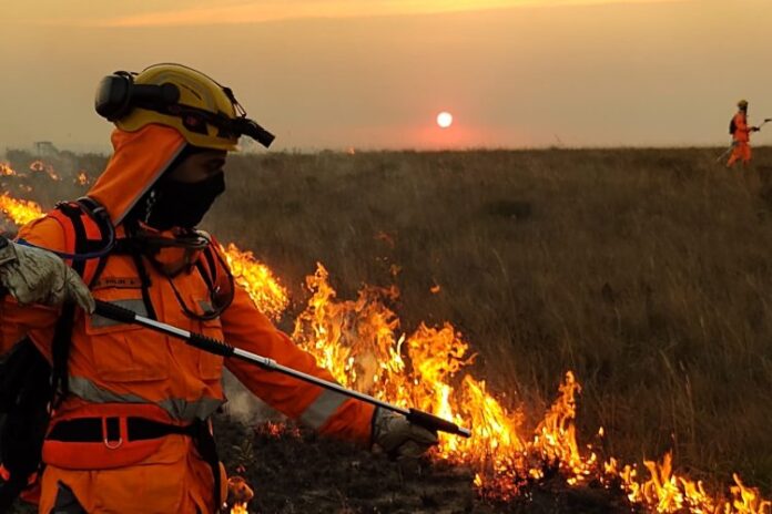 Previsão de inverno chuvoso traz alívio e alerta para produtores rurais