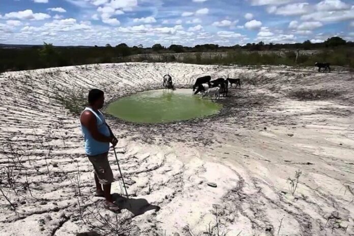 Agro sofre prejuízos de R$ 875 mi