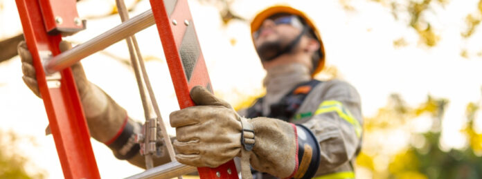 Cemig intensifica vistorias na rede elétrica para garantir segurança durante o Carnaval em Minas