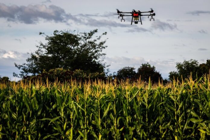 Senar Play bate recorde de matrículas e acessos em Minas Gerais