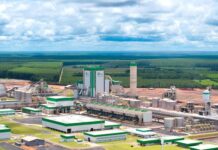 Fábrica impulsiona produção de celulose