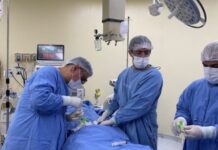 UFU faz primeiro transplante alogênico