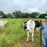 Agro + Verde recupera 3.300 hectares no oeste de Minas Gerais