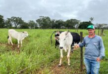 Agro + Verde recupera 3.300 hectares no oeste de Minas Gerais