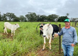 Agro + Verde recupera 3.300 hectares no oeste de Minas Gerais