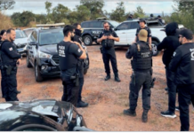 Operação Erva Daninha: PCMG localiza mais uma plantação de maconha, na região norte do Estado, e apreende 1,8 tonelada da droga