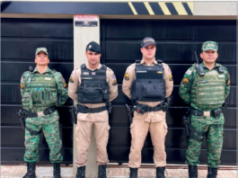 Operação Eucalipto realizada pela Polícia Militar do Meio Ambiente e Polícia Militar de Poté