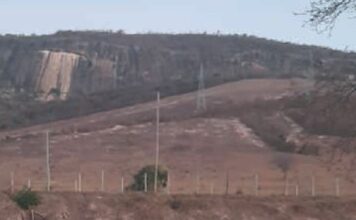 Acidente na BR-367 termina com uma morte e dois feridos após ataque de abelhas em Itaobim