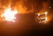 Motorista morre carbonizado após carreta pegar fogo em acidente na BR-116, em Catuji