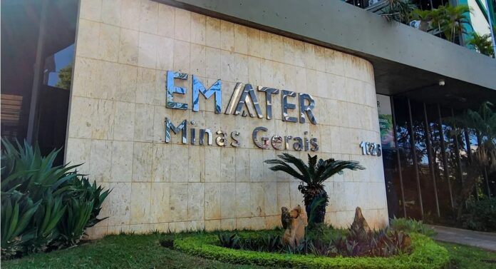 Concurso da Emater-MG oferece 120 vagas com salários de até R$ 7,3 mil